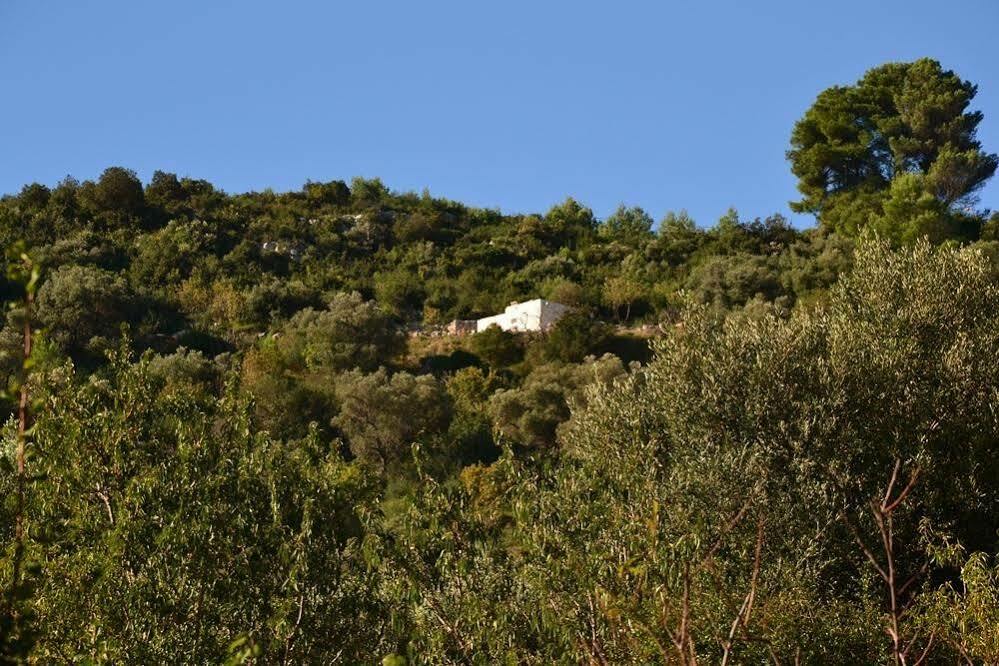 La Lamia 1864 By Rentbeat Διαμέρισμα Ostuni Εξωτερικό φωτογραφία